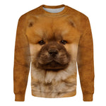 Chow Chow - Face Hair - Premium Sweater