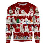 Coton de Tulear - Snow Christmas - Premium Sweater