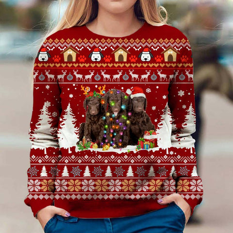 Curly Coated Retriever - Ugly - Premium Sweater