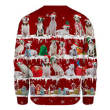 Dogo Argentino - Snow Christmas - Premium Sweater