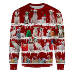 Dogo Argentino - Snow Christmas - Premium Sweater