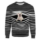 Dogo Argentino - Stripe - Premium Sweater