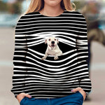 Dogo Argentino - Stripe - Premium Sweater