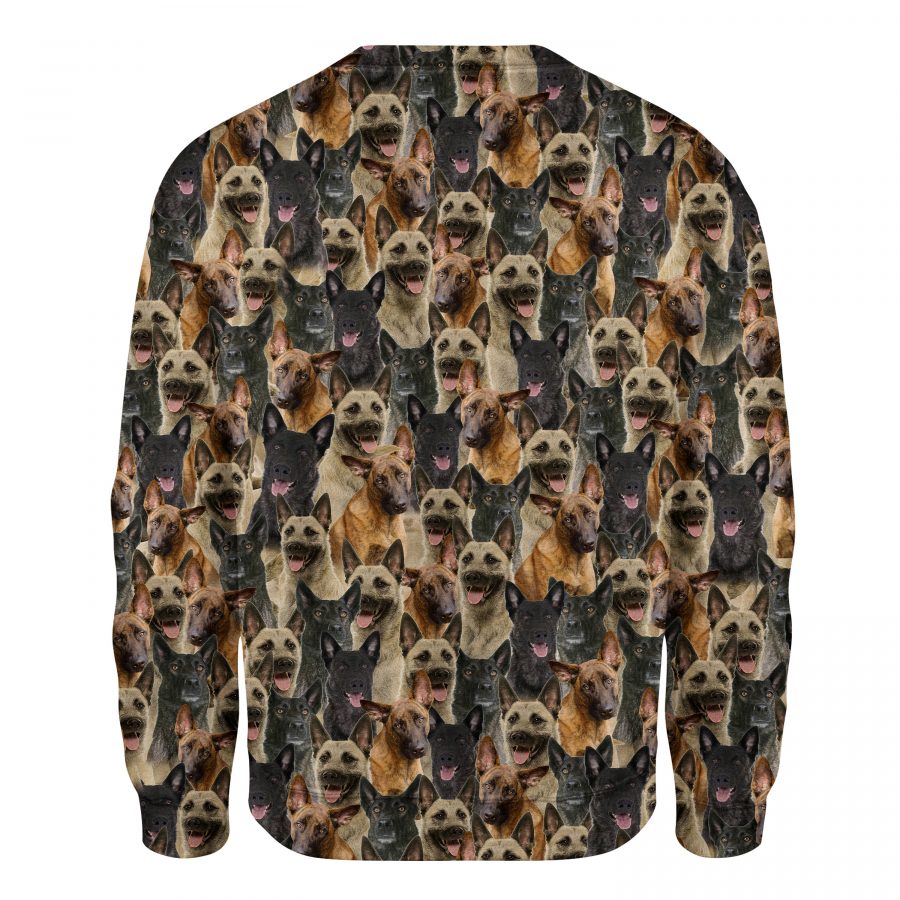 Dutch Shepherd - Full Face - Premium Sweater