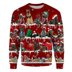 Dutch Shepherd - Snow Christmas - Premium Sweater