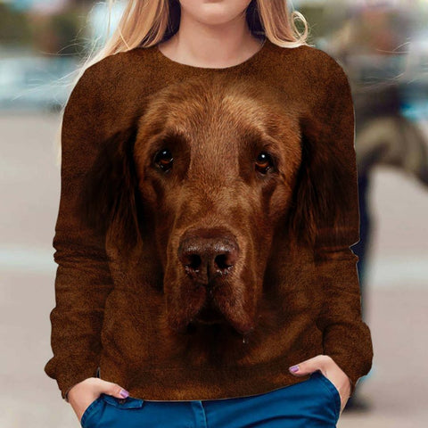 Flat-Coated Retriever - Face Hair - Premium Sweater