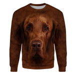 Flat-Coated Retriever - Face Hair - Premium Sweater