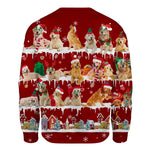 Golden Retriever - Snow Christmas - Premium Sweater