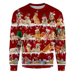 Golden Retriever - Snow Christmas - Premium Sweater