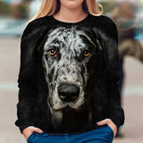 Great Dane - Face Hair - Premium Sweater