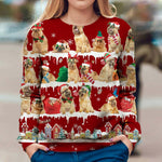 Brussels Griffon - Snow Christmas - Premium Sweater