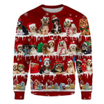 Havanese - Snow Christmas - Premium Sweater