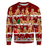 Irish Terrier - Snow Christmas - Premium Sweater