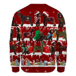 Irish Water Spaniel - Snow Christmas - Premium Sweater