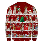 Kooikerhondje - Snow Christmas - Premium Sweater