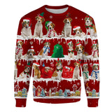 Kooikerhondje - Snow Christmas - Premium Sweater