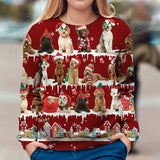 Labradoodle - Snow Christmas - Premium Sweater