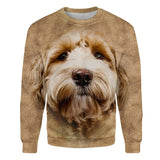 Labradoodle - Face Hair - Premium Sweater