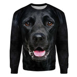 Black Lab - Face Hair - Premium Sweater