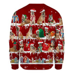 Laekenois Dog - Snow Christmas - Premium Sweater