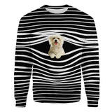 Maltese - Stripe - Premium Sweater