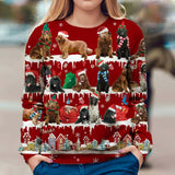 Newfoundland - Snow Christmas - Premium Sweater