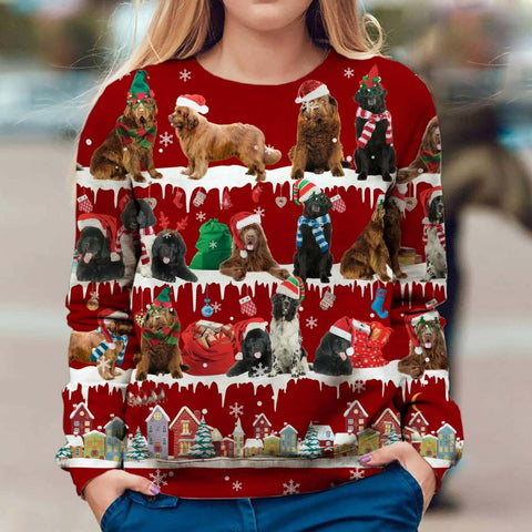 Newfoundland - Snow Christmas - Premium Sweater