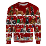 Newfoundland - Snow Christmas - Premium Sweater