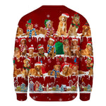 Nova Scotia Duck Tolling Retriever - Snow Christmas - Premium Sweater