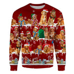 Nova Scotia Duck Tolling Retriever - Snow Christmas - Premium Sweater