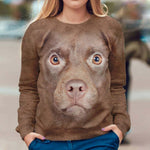 Patterdale Terrier - Face Hair - Premium Sweater