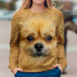 Pekingese - Face Hair - Premium Sweater