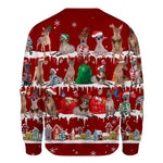 Peruvian Hairless Dog - Snow Christmas - Premium Sweater