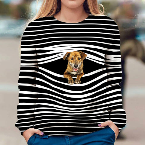 Plott Hound - Stripe - Premium Sweater