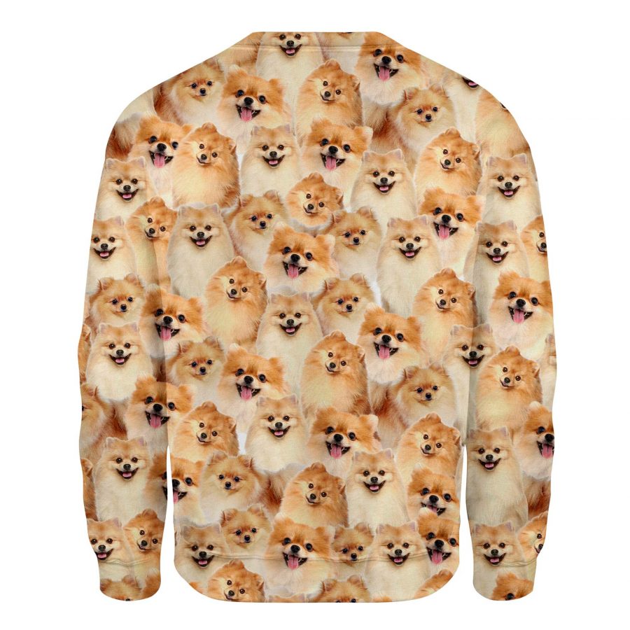 Pomeranian - Full Face - Premium Sweater