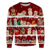 Poochon - Snow Christmas - Premium Sweater