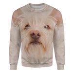 Portuguese Podengo - Face Hair - Premium Sweater