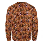 Redbone Coonhound - Full Face - Premium Sweater