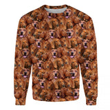 Redbone Coonhound - Full Face - Premium Sweater