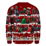 Schipperke - Snow Christmas - Premium Sweater