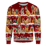 Shar Pei - Snow Christmas - Premium Sweater