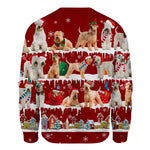 Soft-coated Wheaten Terrier - Snow Christmas - Premium Sweater