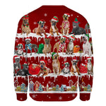 Staffordshire Bull Terrier - Snow Christmas - Premium Sweater