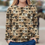 Tibetan Spaniel - Full Face - Premium Sweater