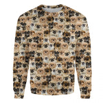 Tibetan Spaniel - Full Face - Premium Sweater