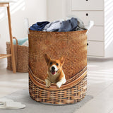 Corgi - Rattan - LB