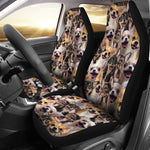 Chihuahua Full Face Car Seat Covers