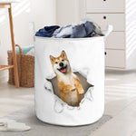 Shiba Inu - Tornpaper - LB