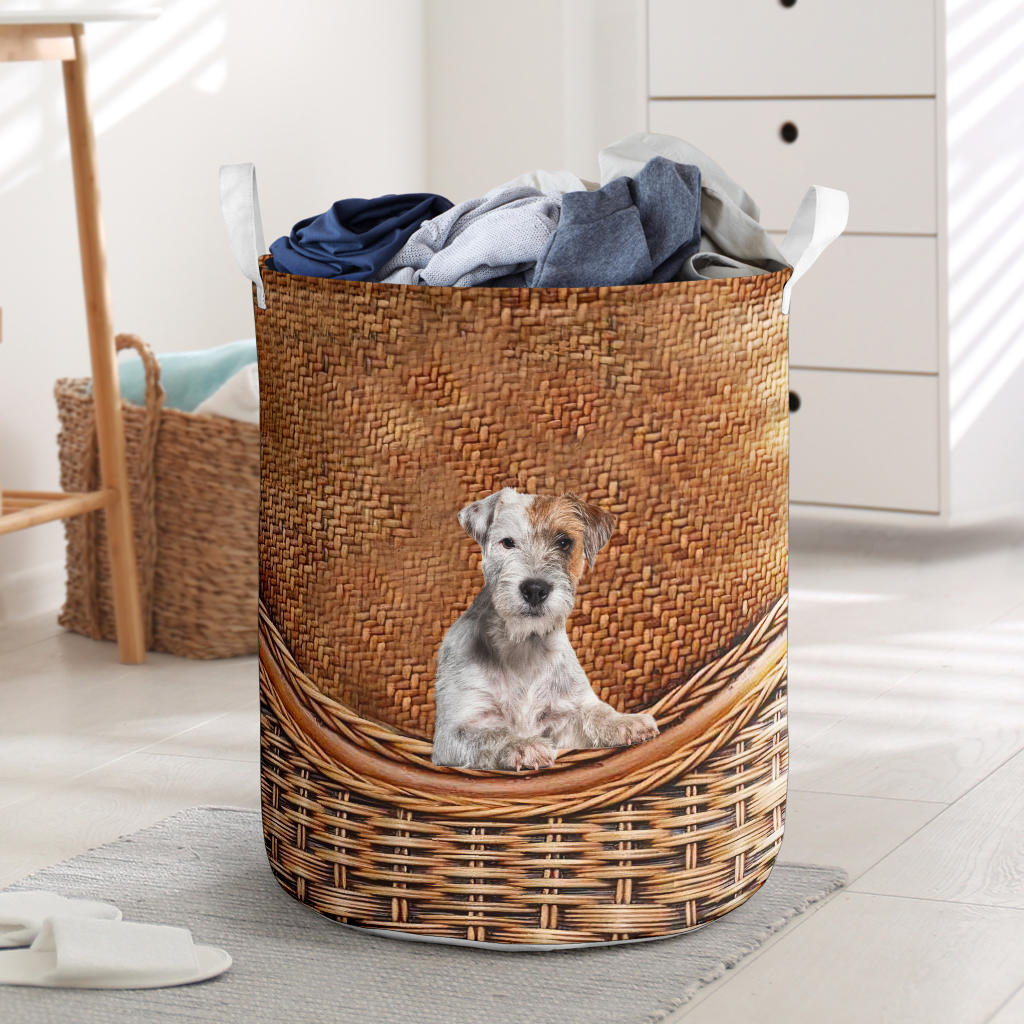 Parson Russell Terrier1 - Rattan - LB