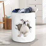 Americanbulldog - Tornpaper - LB